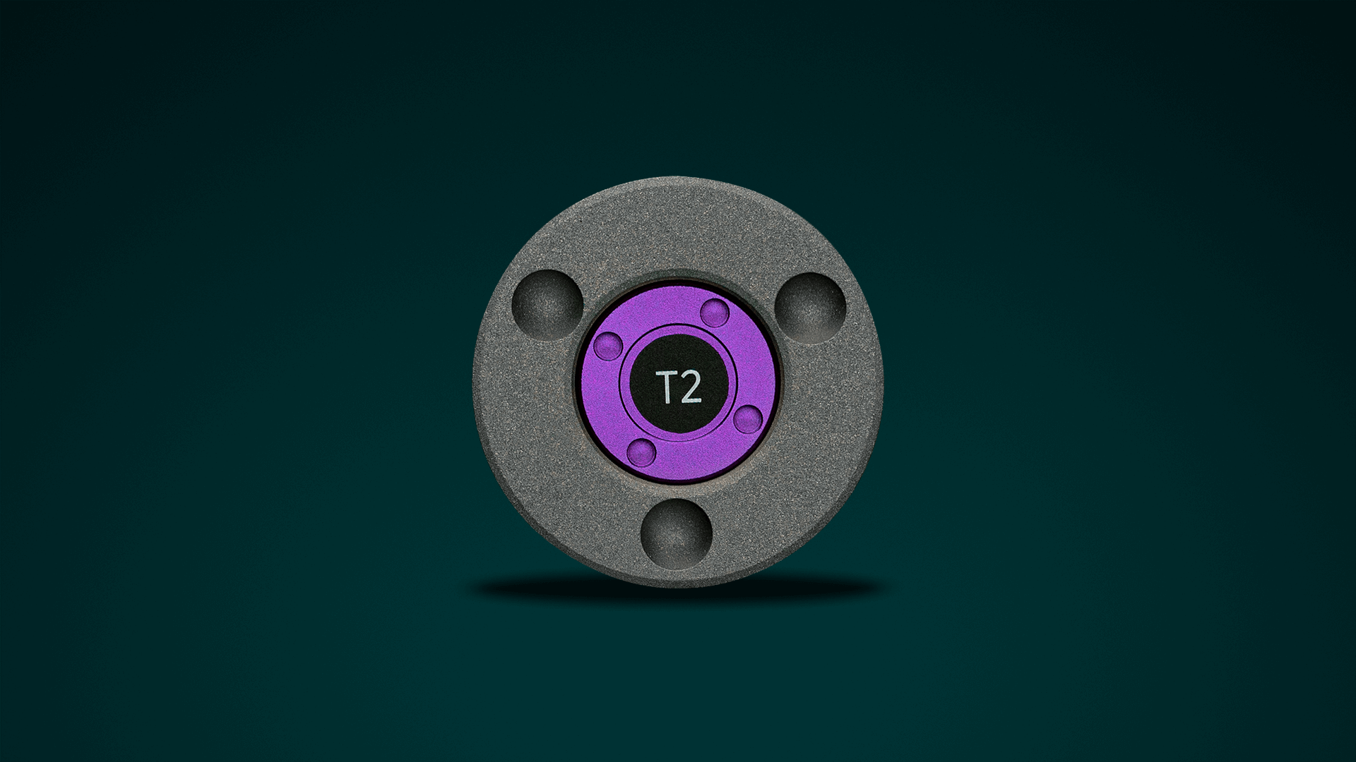 Ansuz Rack T2 Low Module