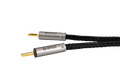 Ansuz Speakz X-TC3