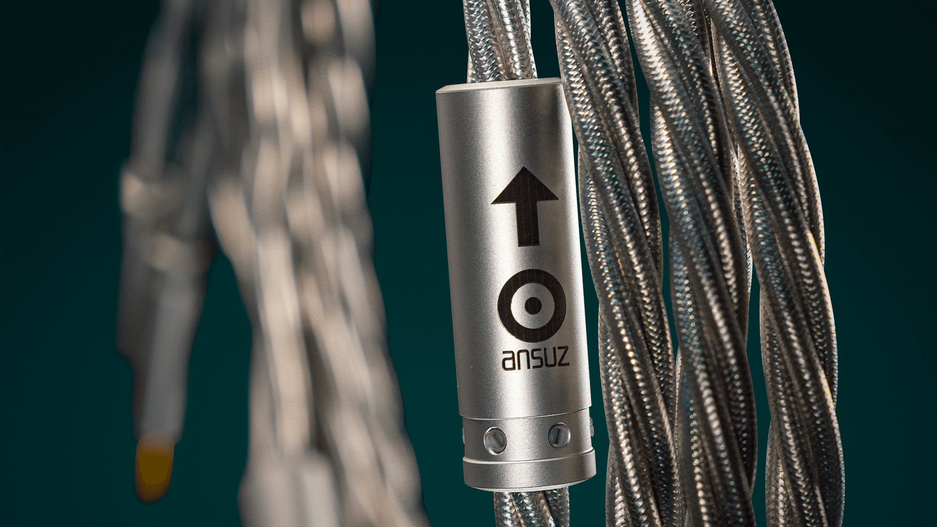 Ansuz X2 Speakz Speaker Cables