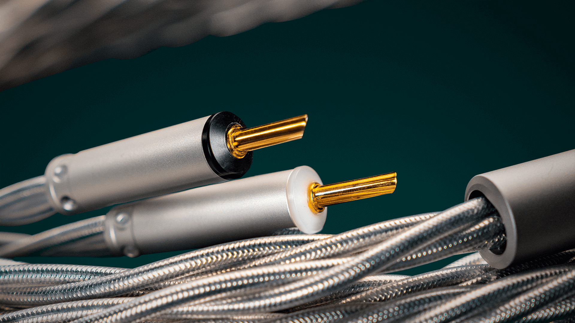 Ansuz X2 Speakz Speaker Cables