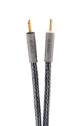 Ansuz Speakz D-TC3