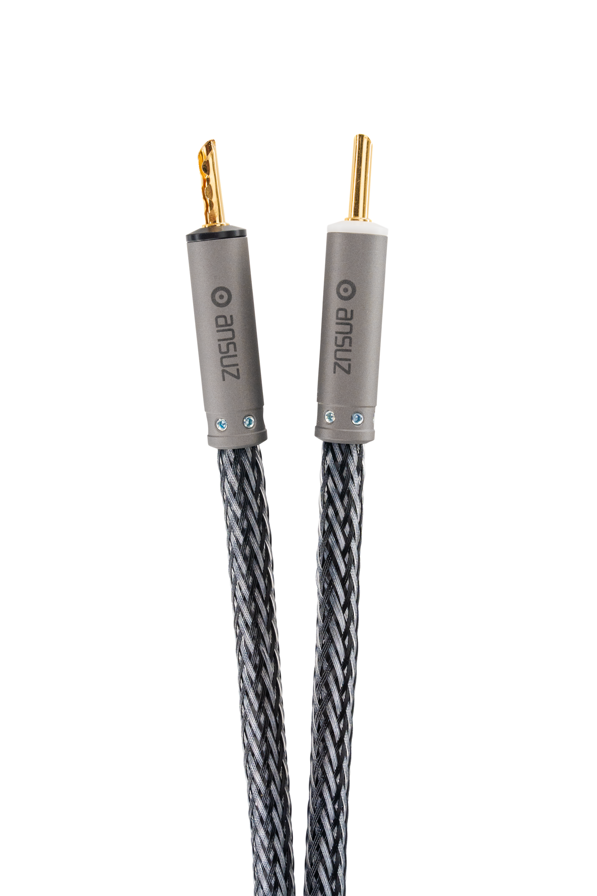 Ansuz Speakz D-TC3