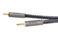 Ansuz Speakz D-TC3