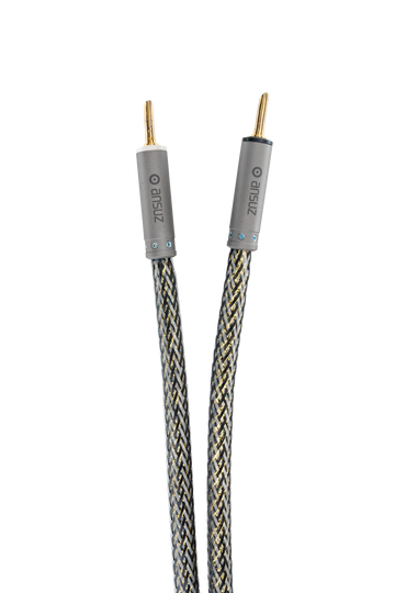 Ansuz Speakz D-TC3 GOLD SIGNATURE