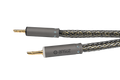 Ansuz Speakz D-TC3 GOLD SIGNATURE
